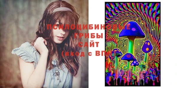 Альфа ПВП Михайловск
