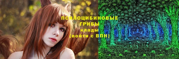 таблы Надым